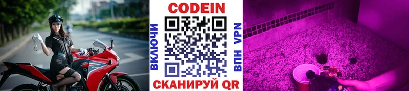 закладки  Лыткарино  shop состав  Кодеин Purple Drank 