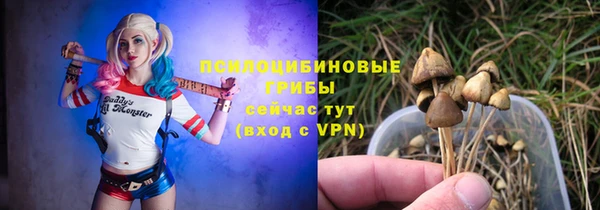 прущий лед Белоозёрский