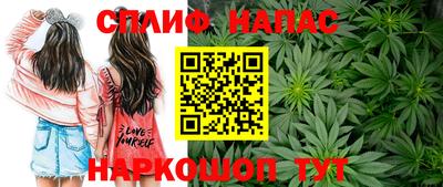 марихуана Кингисепп
