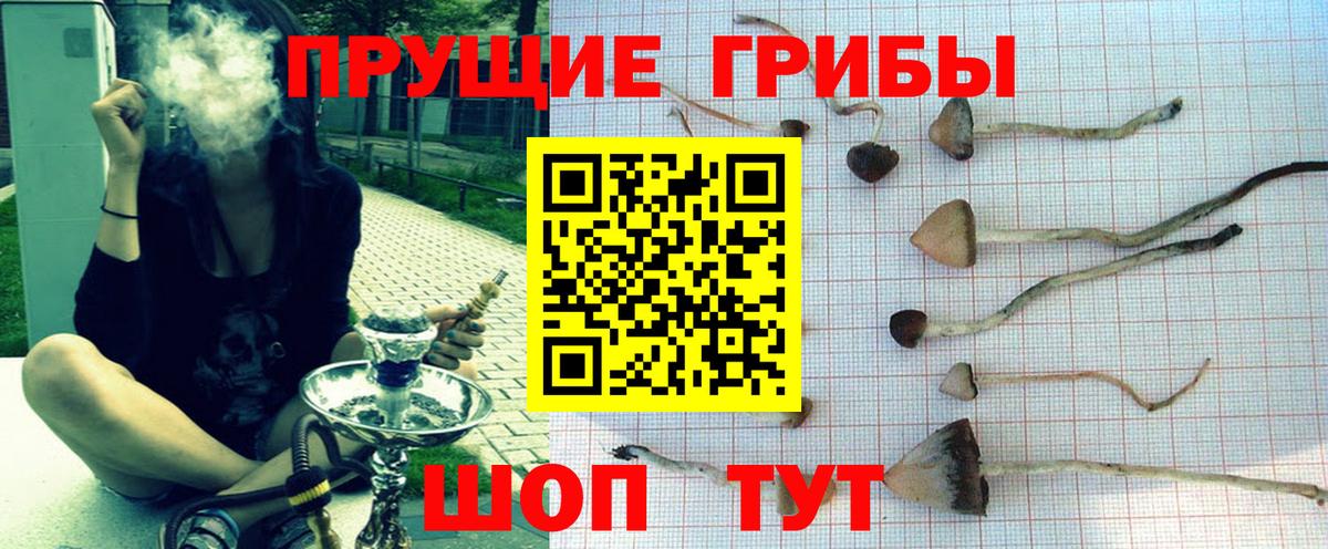 Лыткарино  Псилоцибиновые грибы Psilocybe  продажа наркотиков  Вход с VPN  Галлюциногенные грибы ЛСД 